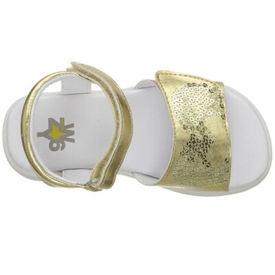 W6YZ Leah 24 (Gold)