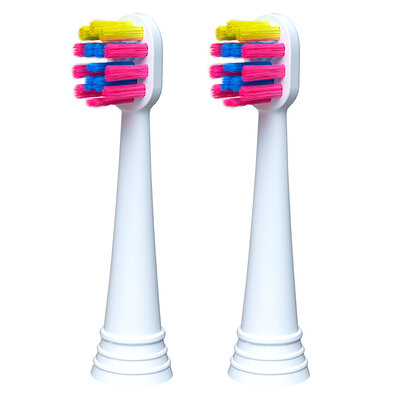 AZDENT SuperCat H-Type (C) for Lebooo (2pcs)