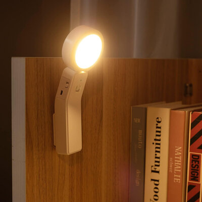 Ruoyang SL-919 (Warm)