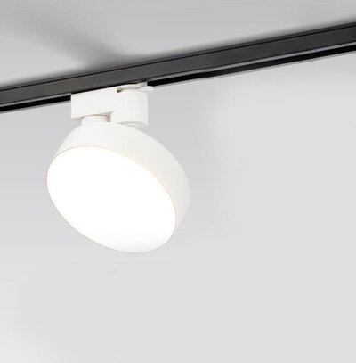 Pinton CNTD-1030T12 24W 3000K White