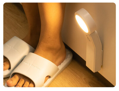 Ruoyang SL-919 (Warm)