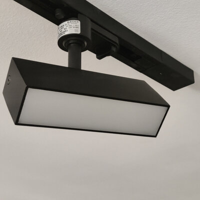 Pinton PD252 10W 3000K Black