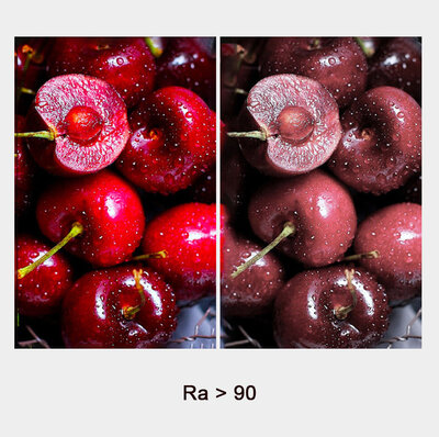 Pinton CNTD-104512 7W 3000K Black