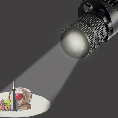 Pinton CNTD-1076T12 7W 3000K Black